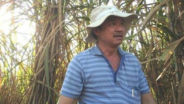 Hoàng Anh Gia Lai trả 5,6 tỷ đồng lãi ngân hàng mỗi ngày