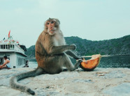 "Đổi gió" cuối tuần với 5 điểm đến hấp dẫn ở đảo Cát Bà