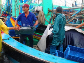 Ngư dân Bình Định hối hả tìm nơi trú ẩn, vào bờ bán “lộc” biển