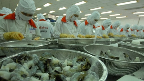 Tôm Việt Nam lại bị áp thuế chống bán phá giá ở mức cao