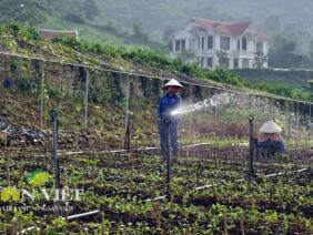 “Nở rộ” xu hướng sản xuất thực phẩm sạch