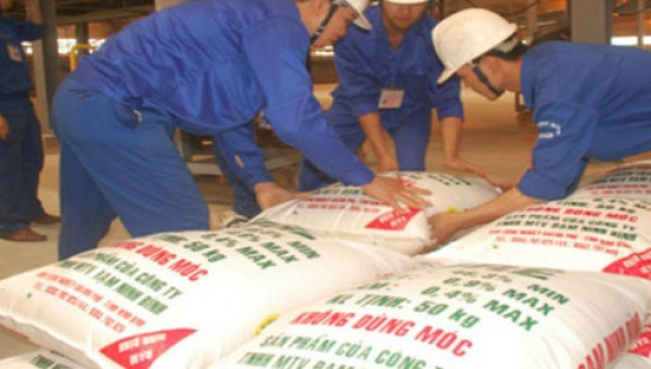 Ôm hơn 10.000 tỷ đồng nợ và lỗ, nhà máy 12.000 tỷ đồng kêu “cứu” lên Thủ tướng