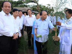 Vườn măng tây được Thủ tướng ghé thăm có gì đặc biệt?