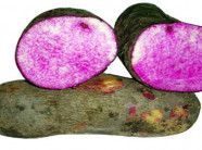 Khoai mỡ điều tiết, duy trì huyết áp ổn định, chống đột quỵ