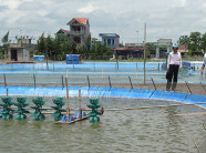 Hướng dẫn nuôi trồng thủy sản bền vững