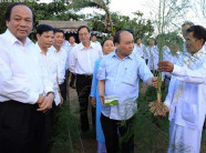 Vườn măng tây được Thủ tướng ghé thăm có gì đặc biệt?