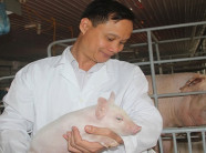 Muốn nuôi lợn sạch thành công...cần mạnh tay đầu tư công nghệ hiện đại bậc nhất