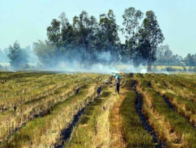 “Lũ cạn” sắp gây hạn, mặn khủng khiếp