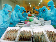 Xuất khẩu thủy sản sang Trung Quốc: Thị trường 20 tỷ đô có “dễ ăn”?