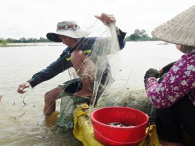 Mưu sinh mùa lũ cạn nơi đầu nguồn sông Cửu Long