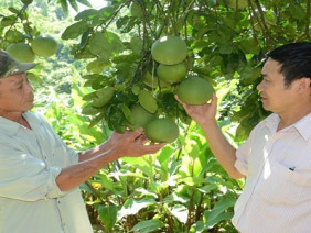 Những cựu binh triệu phú ở Lực Hành