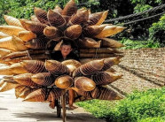 Vẻ bình dị của làng đan đó hơn 200 tuổi quyến rũ trong nắng thu