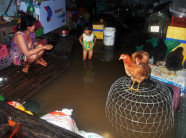 Mưa lịch sử ở Sài Gòn: Ở truồng, ăn mì gói trên "ốc đảo"