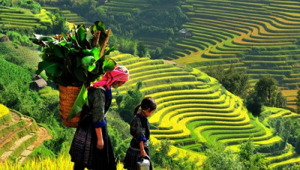 Quy hoạch Sapa trở thành trung tâm du lịch nghỉ dưỡng quốc tế