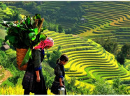 Quy hoạch Sapa trở thành trung tâm du lịch nghỉ dưỡng quốc tế