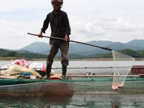 Người làm giải trí nuôi cá diêu hồng, nuôi dê trên núi