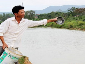 Trồng nghệ kết hợp nuôi cá cho thu nhập trăm triệu đồng