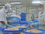 Cá tra tăng giá mạnh, về đỉnh cũ hồi đầu năm