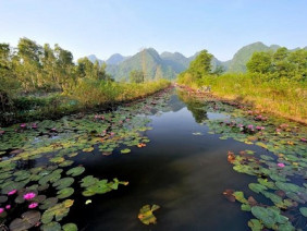 Ngỡ ngàng với bộ ảnh đẹp về thiên nhiên ở suối Yến chùa Hương