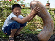 Bí ngô "khủng" nặng 40 kg dài gần 1 mét