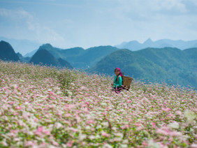 Những điểm ngắm cảnh đẹp mùa thu nên đi ngay kẻo lỡ