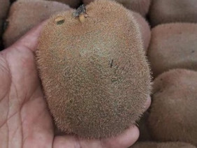 Kiwi Tàu 25.000 lừa bán 170.000 đồng/kg: Dân chảnh hớ nặng