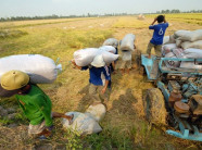 "Thần nông" miền Tây mang trong mình giấc mơ đại điền