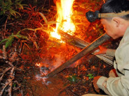 Theo chân "thợ săn" đạp rừng đuổi theo "ong tử thần"