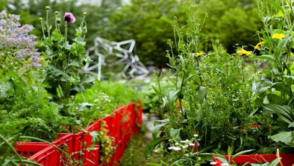 Khám phá “nông trại di động” trong lòng Berlin
