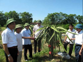 Sức lan tỏa lớn từ Chương trình “Tự hào Nông dân Việt Nam”