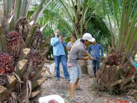 Nhà nông “hốt bạc” từ... du lịch nhà vườn