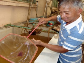 Thay vì ở ruộng, nông dân Sài thành nuôi đại trà Artemia trong nhà