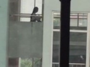 Nam sinh cấp 2 chui đầu vào áo bạn nữ nóng nhất tuần qua