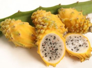 Thanh long vàng nhìn đã thấy thèm giá tiền triệu vẫn cuốn hút người mua