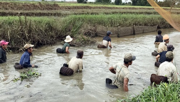 Độc đáo "dàn trận" tập thể bắt cá bằng... nơm tre