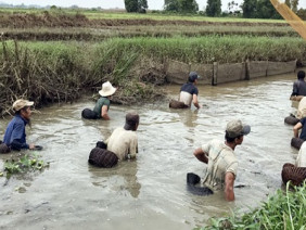 Độc đáo "dàn trận" tập thể bắt cá bằng... nơm tre