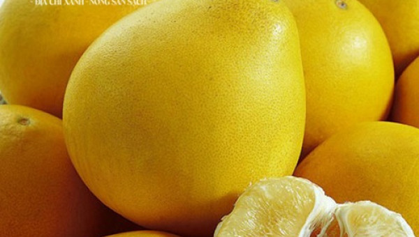 Bưởi "vàng óng, bóng mượt” trồng ở Việt Nam giá trên trăm nghìn