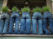 Những ý tưởng gieo trồng "bá đạo" nhất quả đất