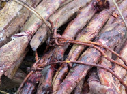  NHÀ NÔNG Băng rừng tìm cỏ máu - "thần dược” cho sản phụ