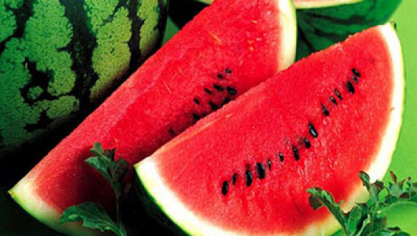 Đọc xong bài này bạn sẽ không bao giờ nhằn hạt dưa hấu đi nữa