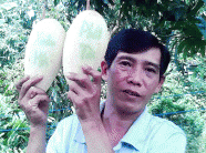 Chạy đua làm nông sản “độc”, lạ phục vụ Tết