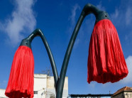 Nhìn xa thấy “bông hoa” khổng lồ héo rũ, mọi người chạy đến xem lập tức ồ lên kinh ngạc