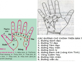 Giải mã tướng bàn tay phụ nữ có vận số dễ vướng mắc vào vòng lao lý