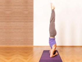 Tập tư thế trồng chuối yoga để chữa bách bệnh