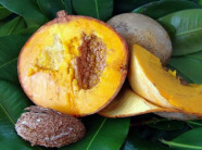 Táo Mỹ lõi vàng thoạt nhìn ngỡ hồng xiêm cỡ "khủng"