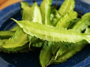 15 ngày ăn hạt này, đau dạ dày không hết cũng giảm đáng kể