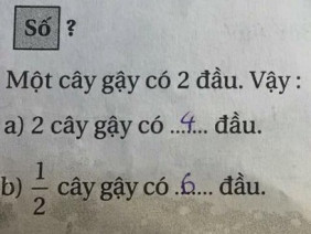 Những bài toán tiểu học 'hại não' thách thức người lớn