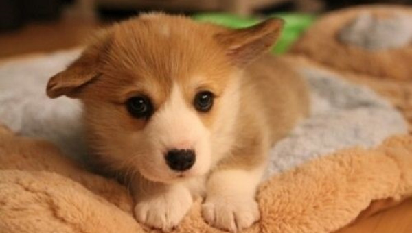 6 dấu hiệu báo trước bạn sắp gặp may mắn về tiền bạc và tình yêu