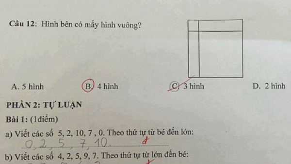 Bài toán lớp 1 đếm hình vuông khiến người lớn "toát mồ hôi" tìm lời giải