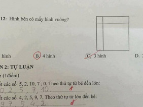 Bài toán lớp 1 đếm hình vuông khiến người lớn 